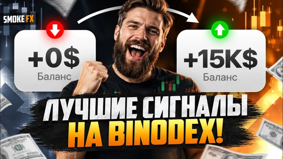 Трейдинг обучение на Binodex с нуля даёт понимание рынка и стабильный доход